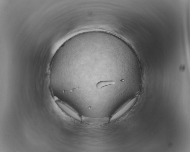 X0000111241524200907231516