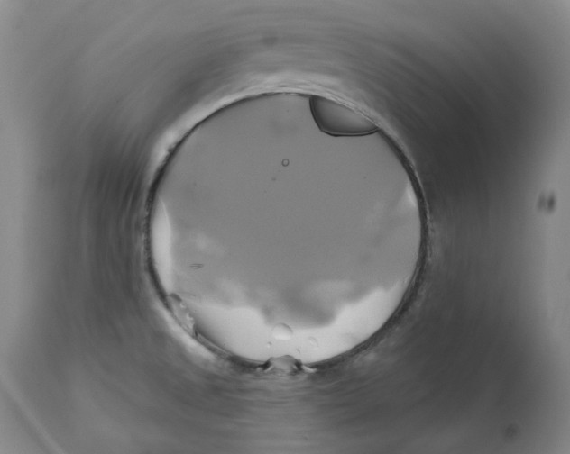 X0000111241525200907231516