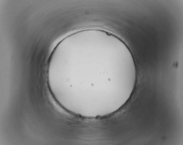 X0000111241526200907231516