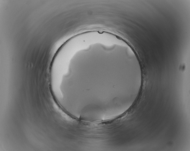 X0000111241527200907231516