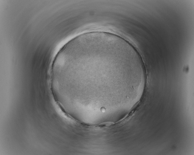 X0000111241528200907231516