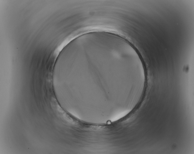 X0000111241529200907231516