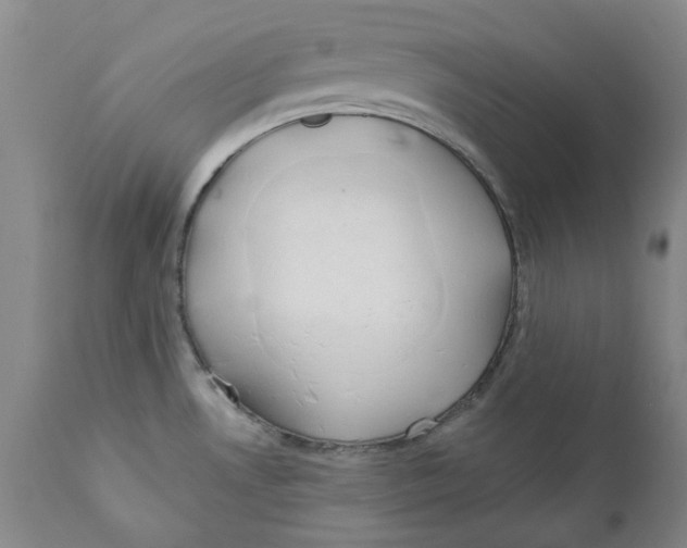 X0000111241530200907231516