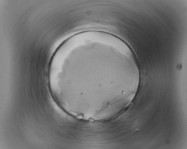 X0000111241531200907231516