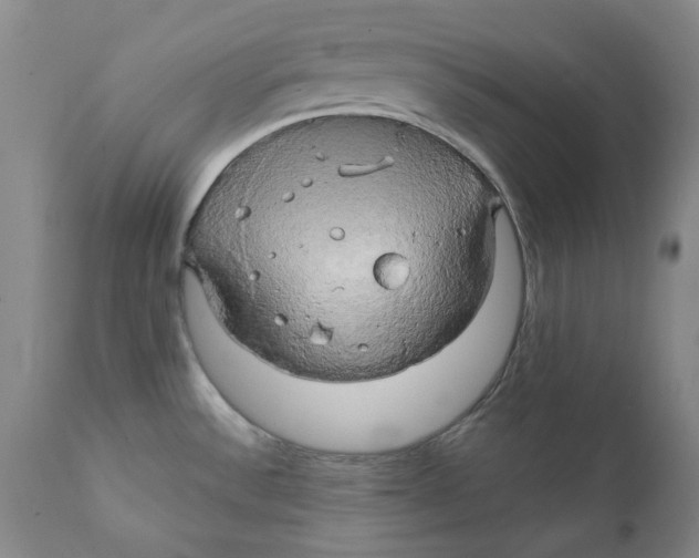 X0000111241532200907231516