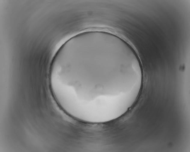 X0000111241533200907231516