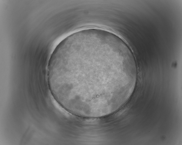 X0000111241535200907231516