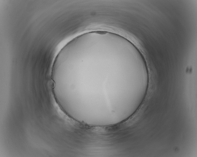 X0000111241536200907231516