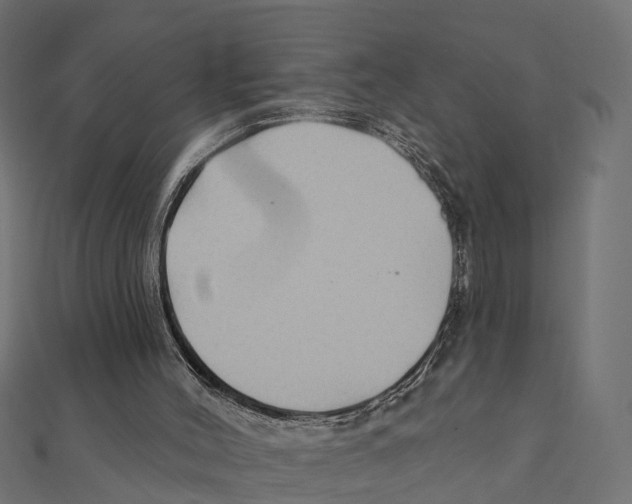 X0000111240004200907301316