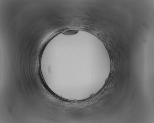 X0000111240005200907301316