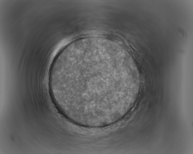 X0000111240006200907301316