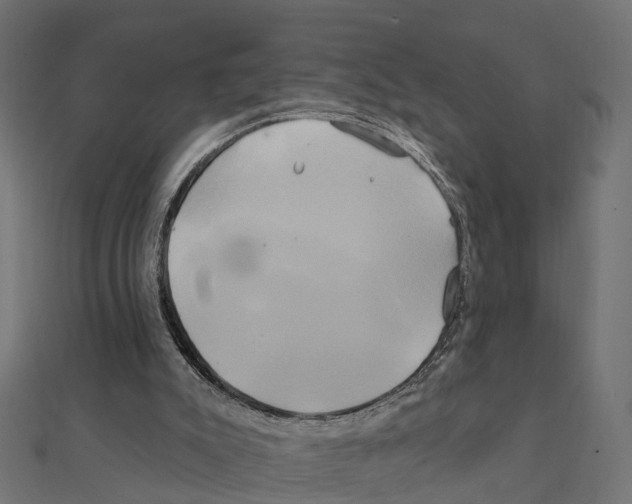 X0000111240007200907301316
