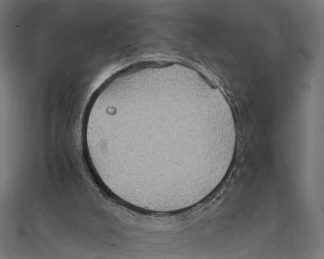 X0000111240008200907301316