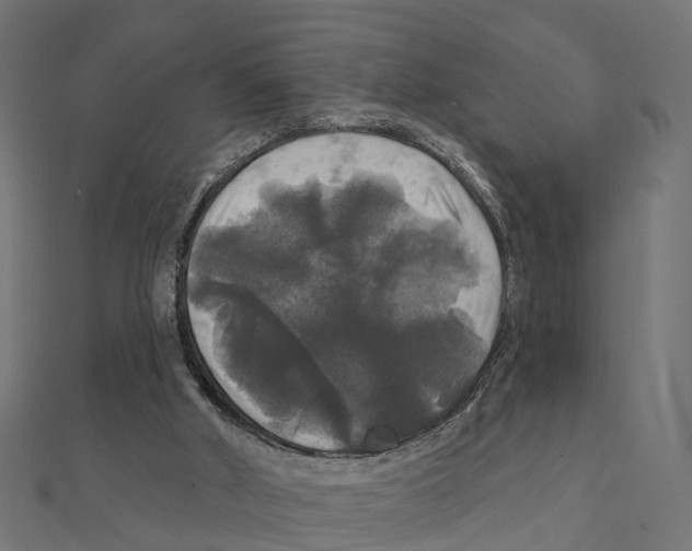 X0000111240010200907301316