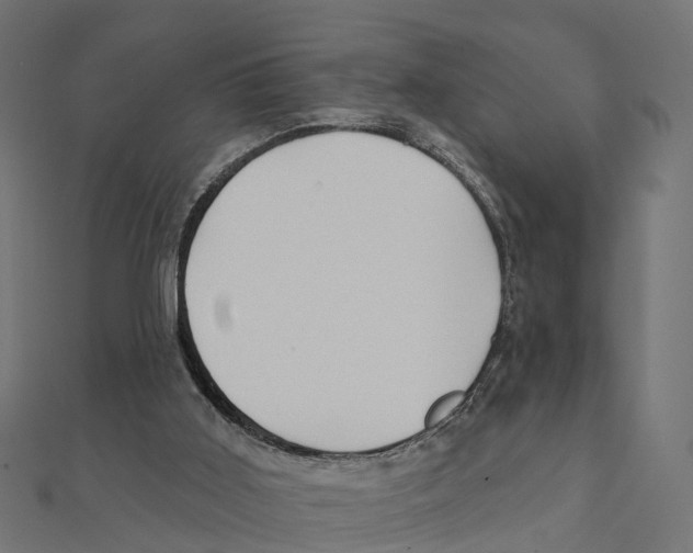 X0000111240011200907301316