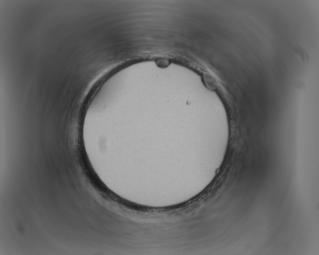 X0000111240012200907301316