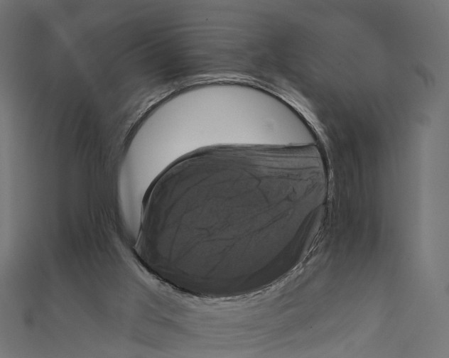 X0000111240013200907301316
