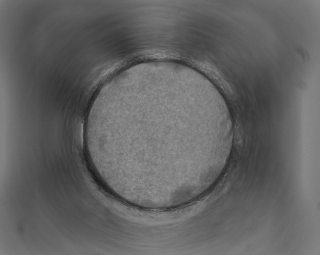 X0000111240014200907301315