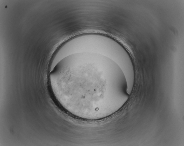 X0000111240015200907301315