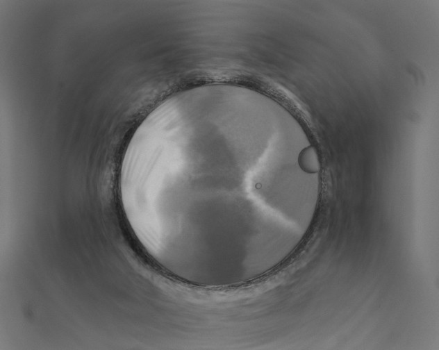 X0000111240018200907301315