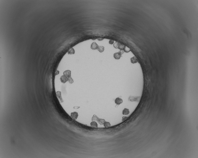 X0000111240020200907301315