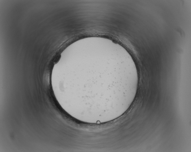 X0000111240021200907301315