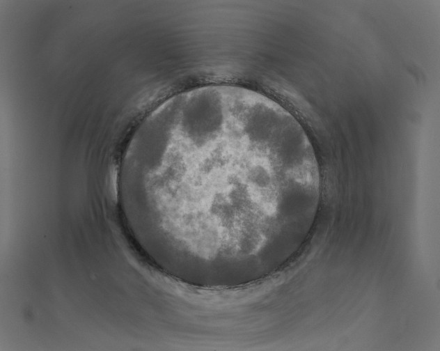 X0000111240022200907301315