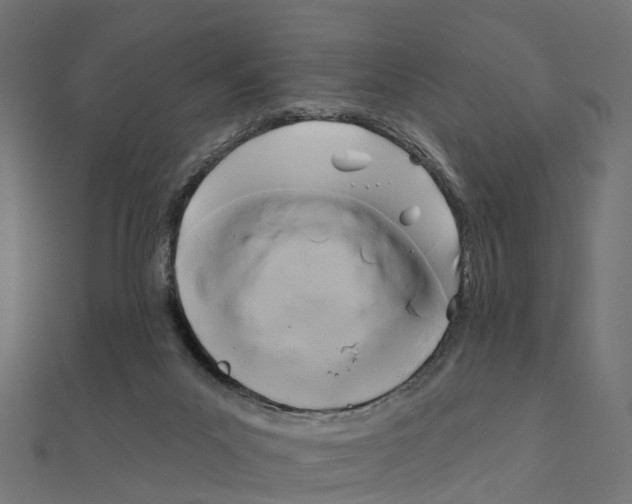 X0000111240023200907301315