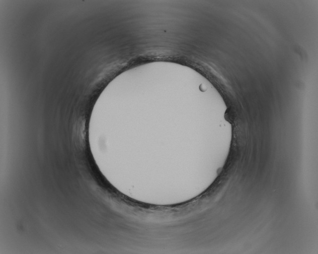 X0000111240024200907301315