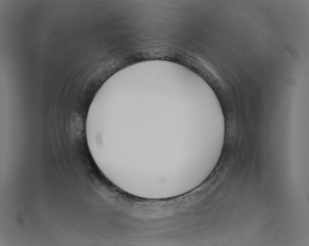 X0000111240025200907301315