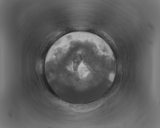 X0000111240026200907301315