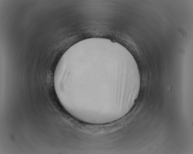 X0000111240029200907301315