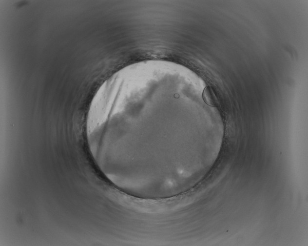 X0000111240030200907301315