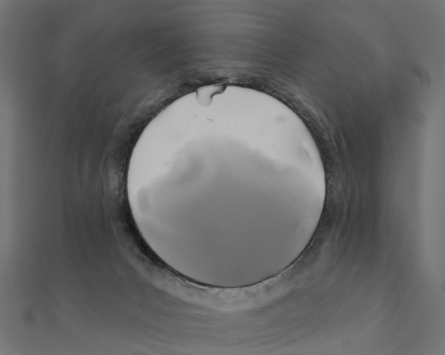 X0000111240031200907301315