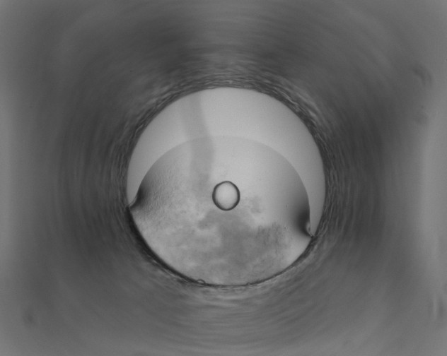 X0000111240033200907301315