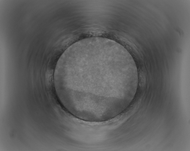 X0000111240034200907301315