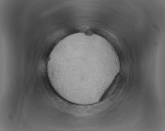 X0000111240037200907301315