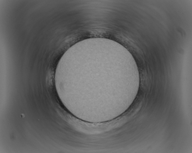 X0000111240038200907301315