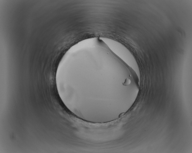 X0000111240039200907301315