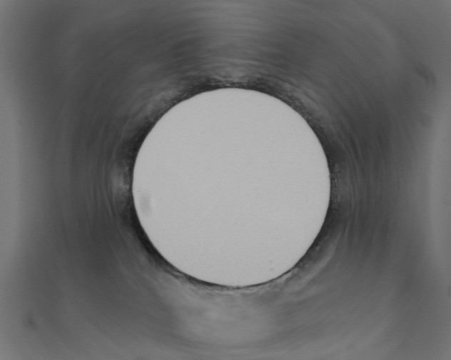 X0000111240040200907301315