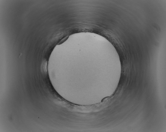 X0000111240041200907301315