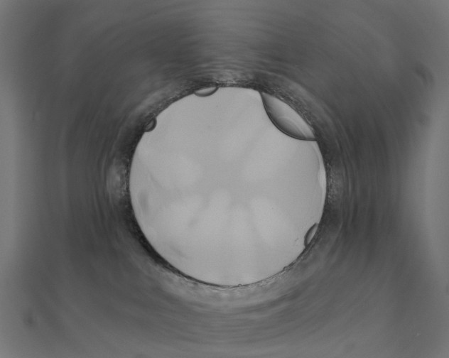 X0000111240043200907301315