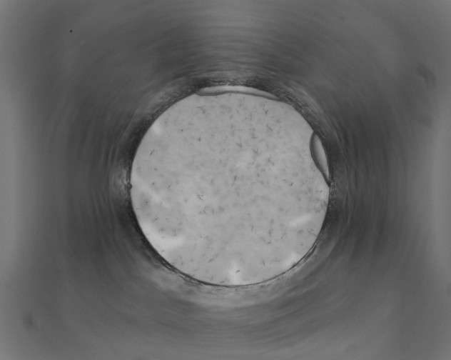 X0000111240045200907301315