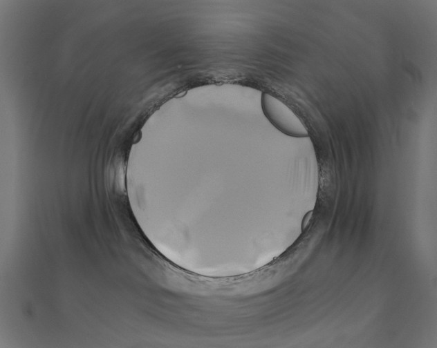 X0000111240046200907301315