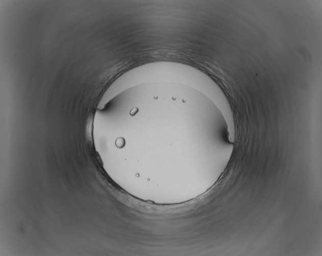 X0000111240047200907301315