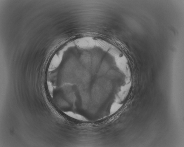 X0000111240049200907301314