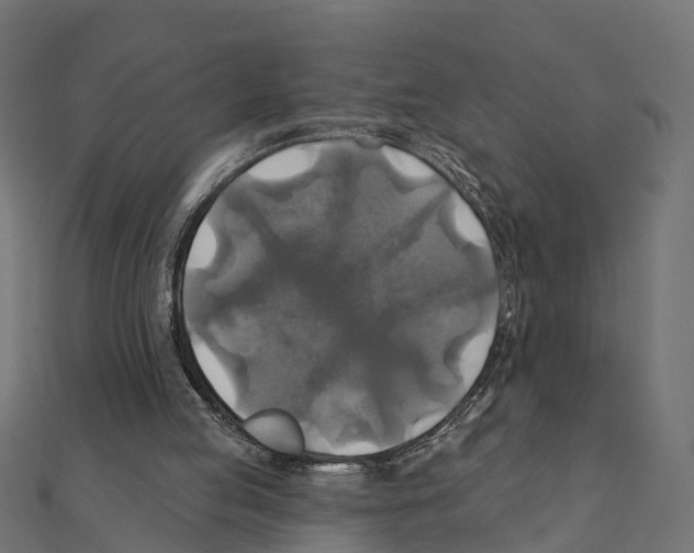 X0000111240053200907301314