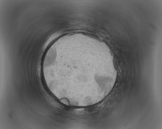 X0000111240054200907301314
