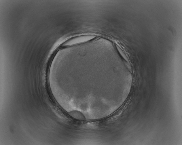 X0000111240056200907301314