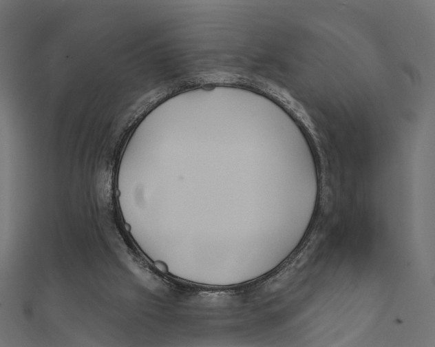 X0000111240057200907301314